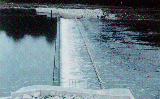 mannheim weir