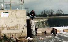 mannheim weir fishway entrance