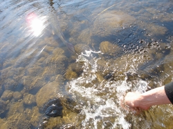 northern pike fish release