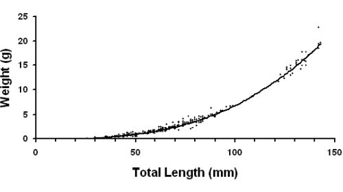 length-weight regression silver shiner