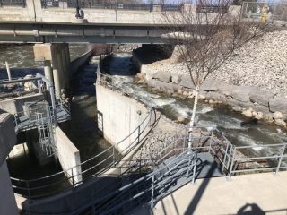 Thornbury dam nature-like fishway downstream view