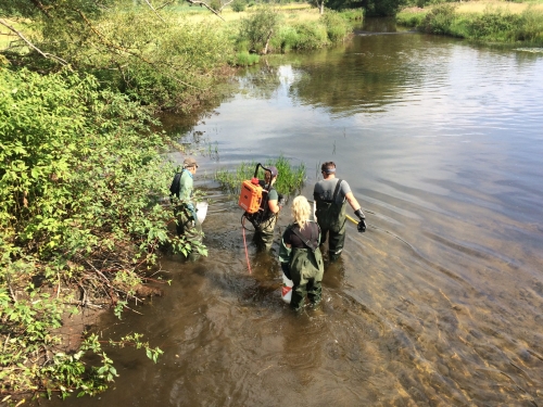 backpack electrofishing