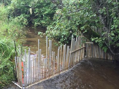 fish counting fence