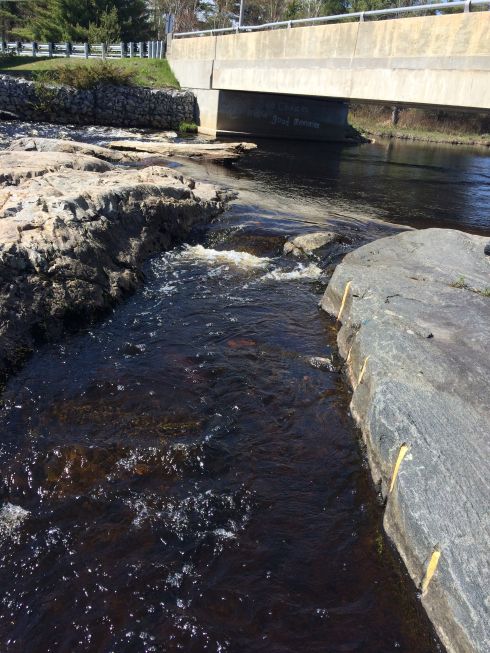 channel fish passage barrier