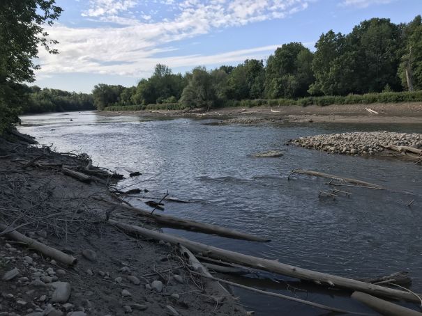 reestablished river flow saugeen river