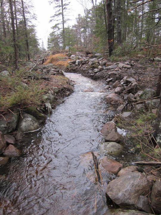 remediated fish bypass channel