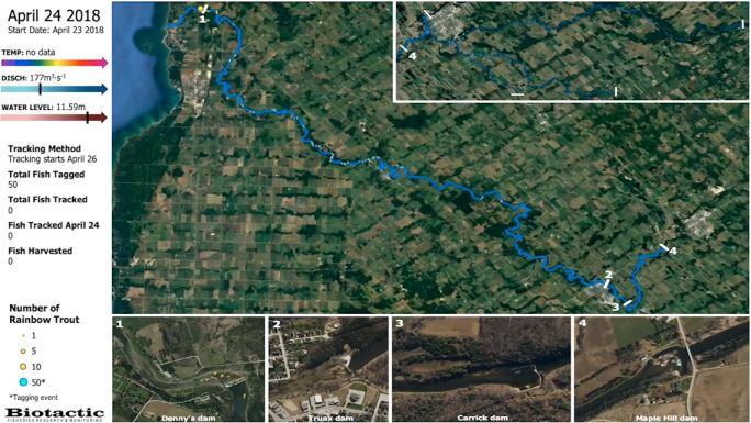 trout telemetry