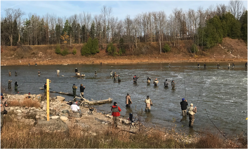 anglers downstream denny's dam