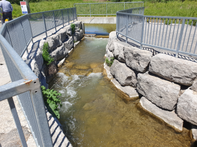 bowmanville dam