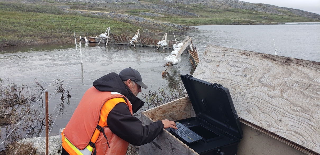 Fish Fence BRAVO fish monitoring system