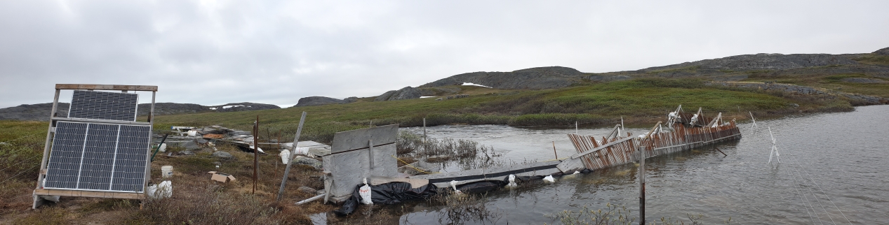 Arctic Fish Fence