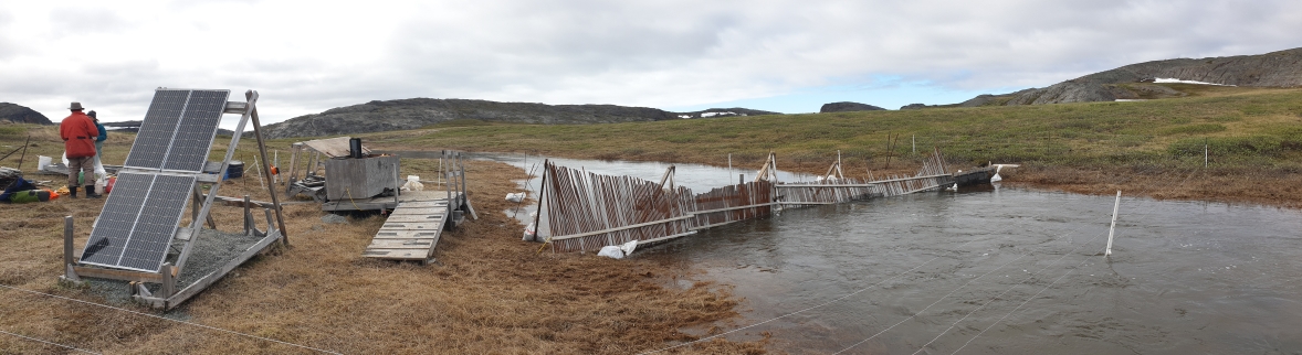 Arctic Fish Fence 