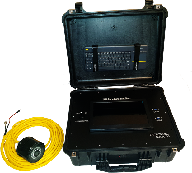 permanent fish monitoring system