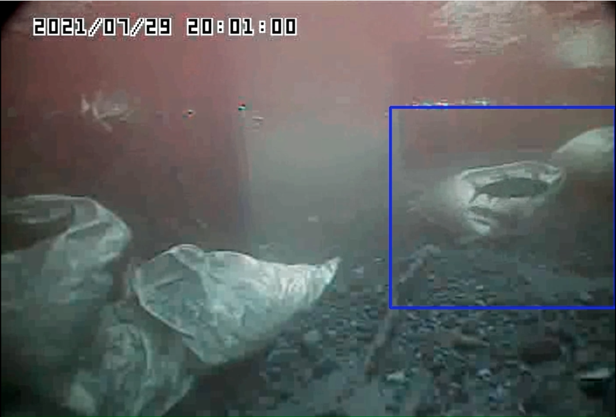 kokanee AI bounding box
