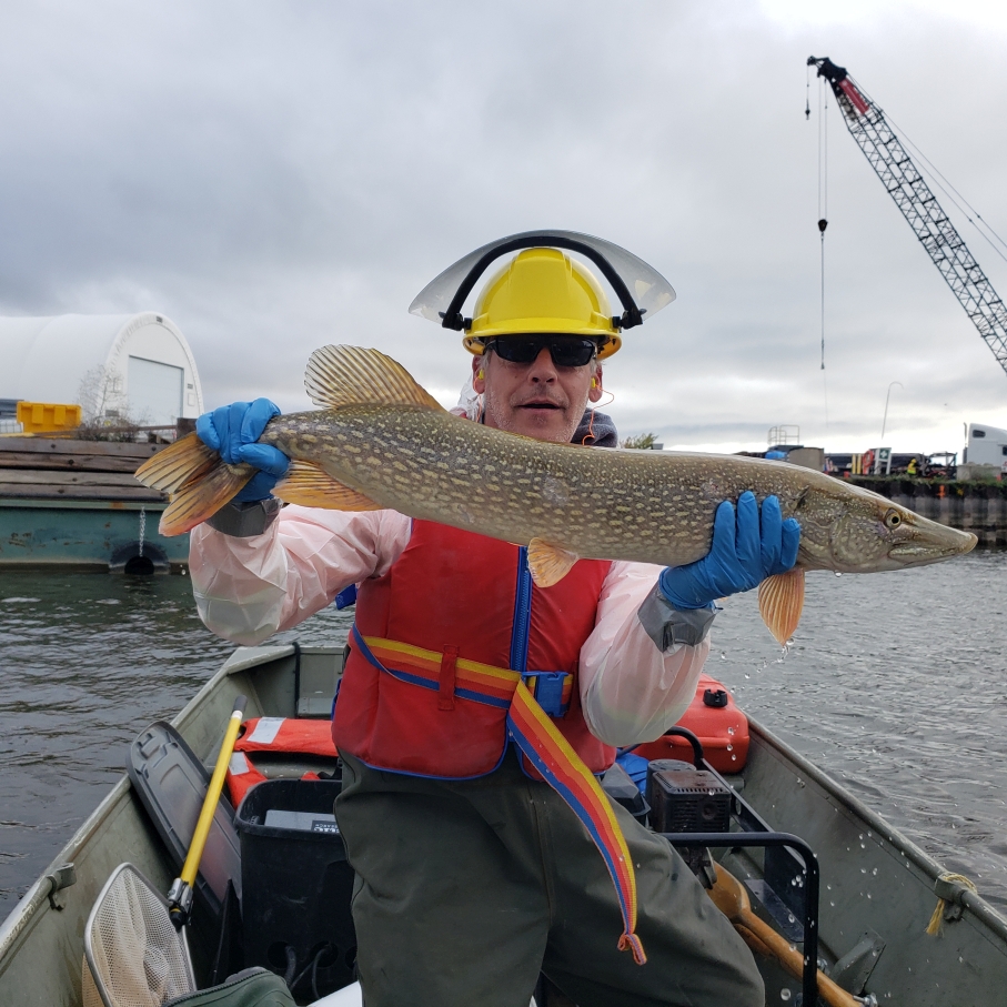 Lake Ontario Pike