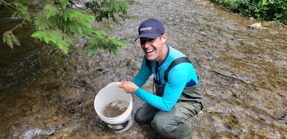 fish released back to creek