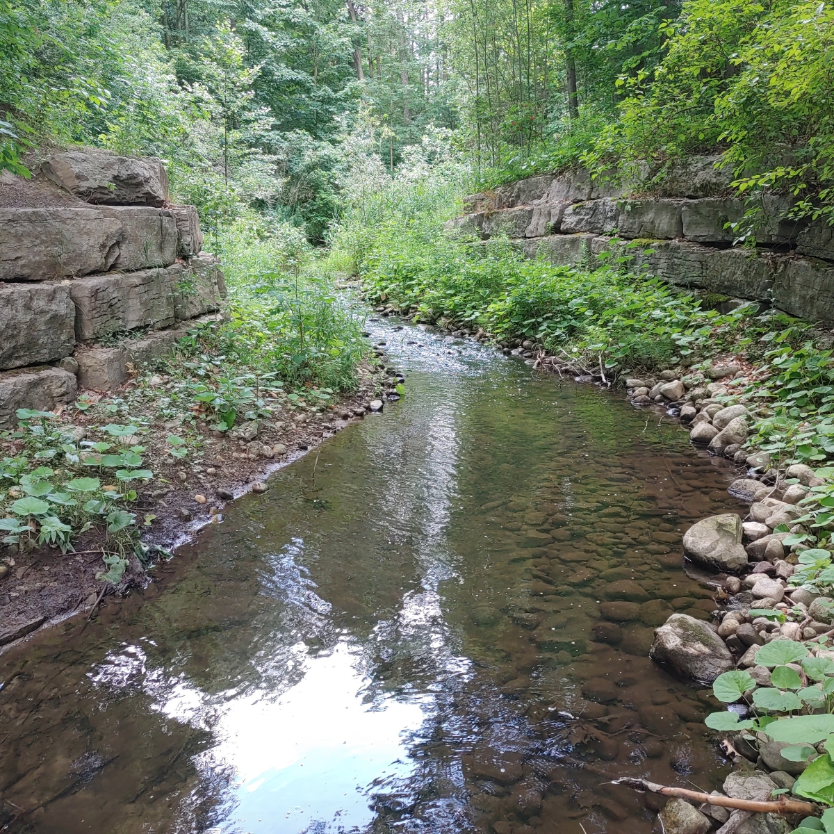 channelized creek