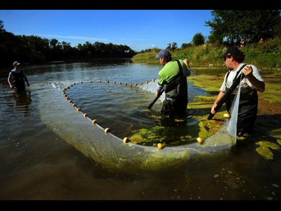 netting grand river