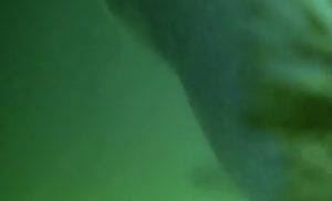 Node 20 February 17 2016