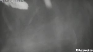 Node 24 October 19 2023