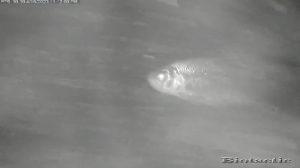 Node 23 April 16 2023
