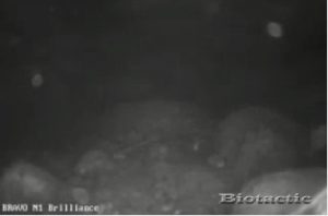 Node 1 December 27 2022