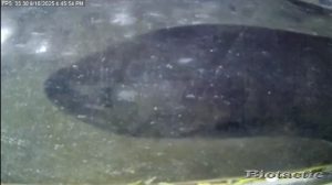 Node 31 September 18 2025