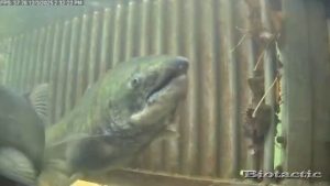 Node 24 December 3 2025