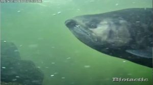 Node 25 October 28 2025