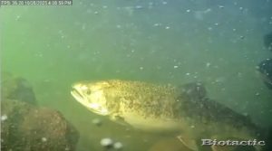 Node 25 October 28 2025