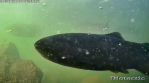 Node 25 October 28 2025