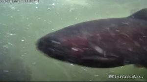 Node 25 November 19 2025