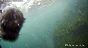 Node 28 November 2 2025