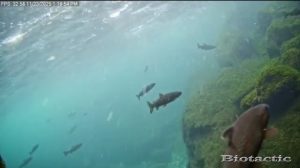 Node 28 November 23 2025