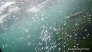 Node 28 November 4 2025