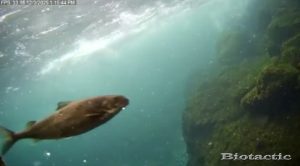 Node 28 December 3 2025