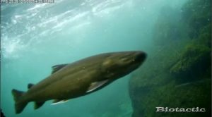 Node 28 December 5 2025