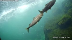 Node 28 December 6 2025