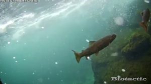 Node 28 December 7 2025