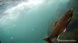 Node 28 December 8 2025