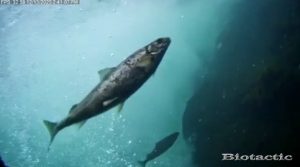 Node 28 December 13 2025