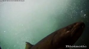 Node 28 December 29 2025