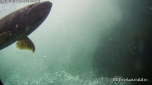 Node 28 December 29 2025