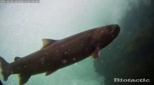 Node 28 January 2 2026