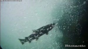 Node 28 January 3 2026