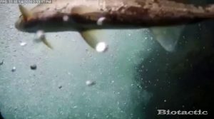 Node 28 January 4 2026