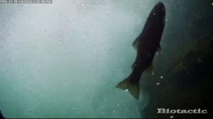 Node 28 January 5 2026