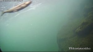 Node 28 January 7 2026