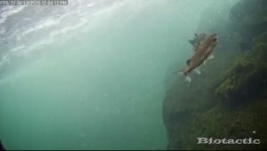 Node 28 January 8 2026