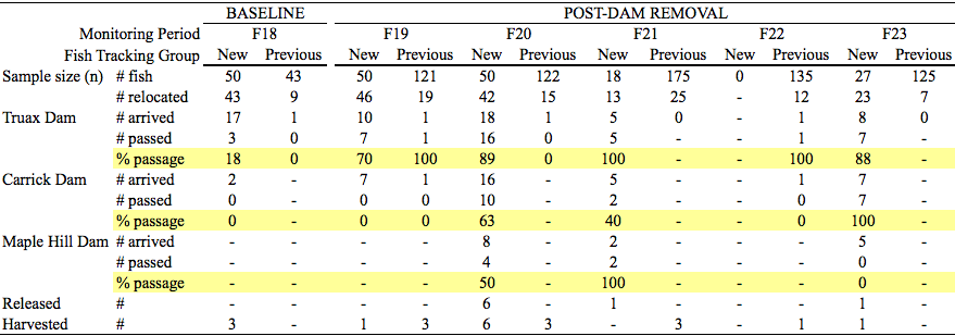 Fall Saugeen Radiotelemetry Results